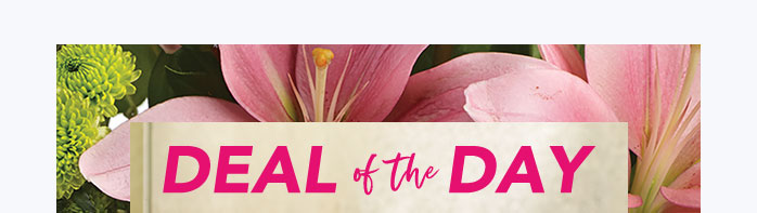 DAZZLE WITH A DEAL