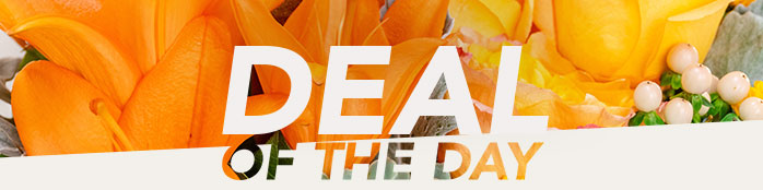 DEAL OF THE DAY