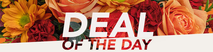 DEAL OF THE DAY