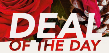 DEAL OF THE DAY