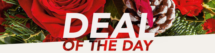 DEAL OF THE DAY