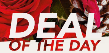DEAL OF THE DAY