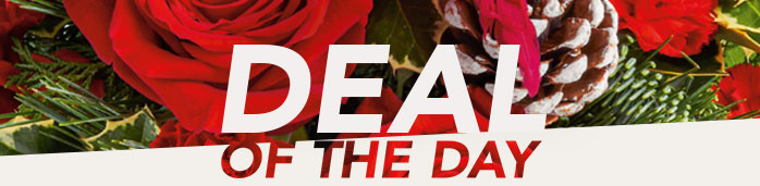 DEAL OF THE DAY