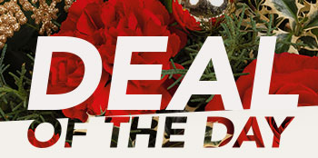 DEAL OF THE DAY