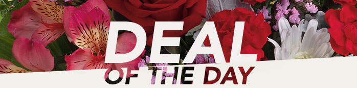 DEAL OF THE DAY