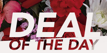 DEAL OF THE DAY