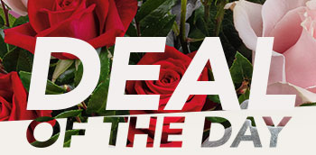 SEND A DEAL OF THE DAY