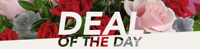 SEND A DEAL OF THE DAY