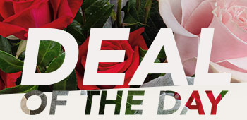 VALENTINE'S DEAL OF THE DAY