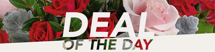 VALENTINE'S DEAL OF THE DAY