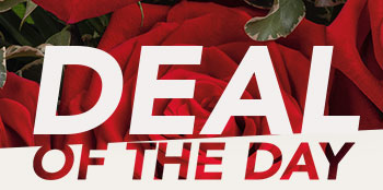 DEAL OF THE DAY