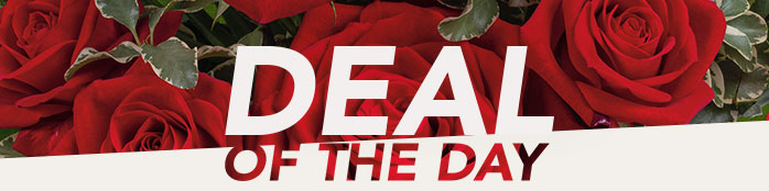 DEAL OF THE DAY