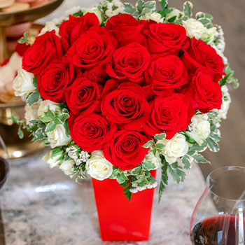 DISCOVER OUR MOST<br>BELOVED