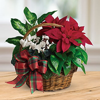 SHOP HOLIDAY<br>GIFT BASKETS