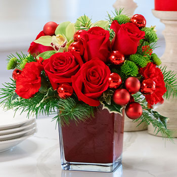 ROMANCE<br>THE HOLIDAYS