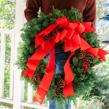 SHOP WREATHS AND TREES