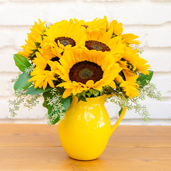 Teleflora's Sunny Day Pitcher of Sunflowers