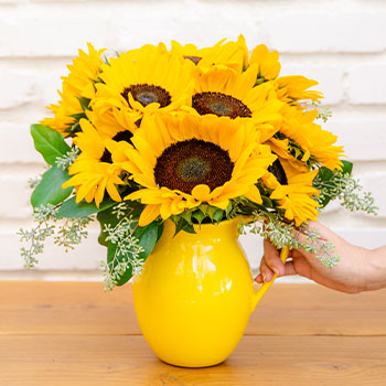 WELCOME SUMMER INSIDE