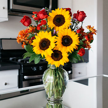 HERE COME THE<br>SUNFLOWERS