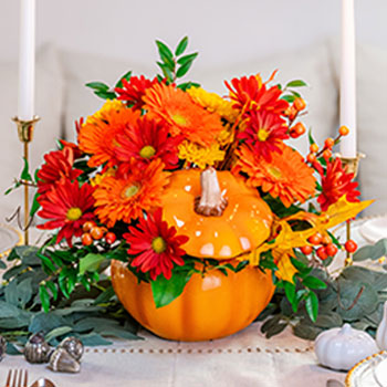 Welcome Fall