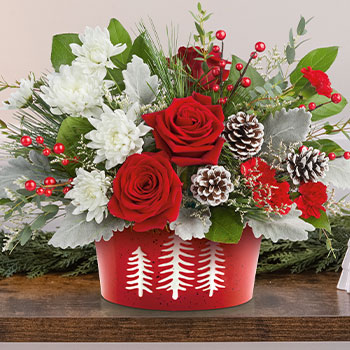 ENJOY SAME-DAY<br>DELIVERY