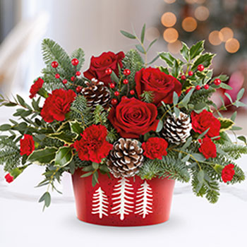 SET THE HOLIDAY TABLE