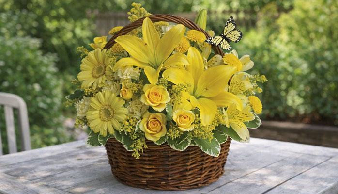 Basket Full of Wishes