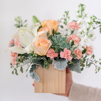 SEND A SWEET<br>SURPRISE