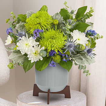 Teleflora's Modern Chic Bouquet