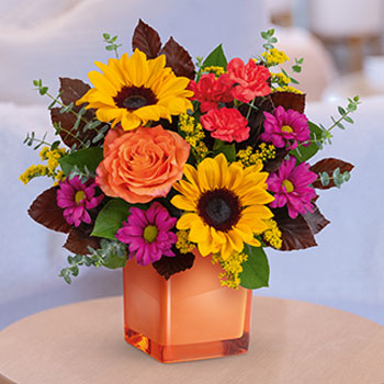 SEND SUNNY<br>SUNFLOWERS