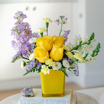 BLOOM<br>WITH BESTSELLERS