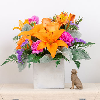 HOORAY JUNE<br>BIRTHDAYS