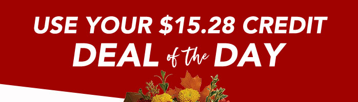 SAVE ON THANKGIVING FLORALS