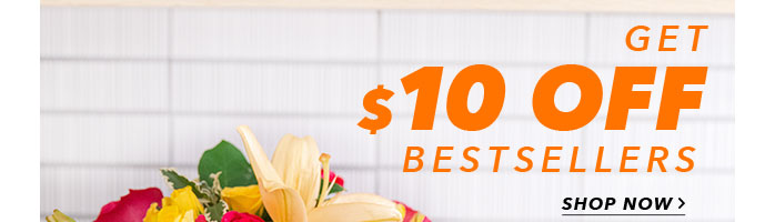 SUMMER BESTSELLERS