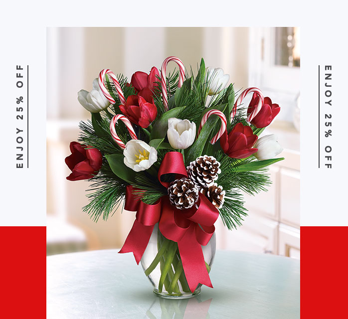 By Golly, It's Jolly