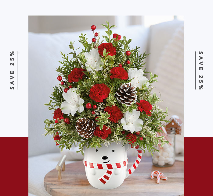 Telefloraโs Send A Hug Snowy Lane Tree