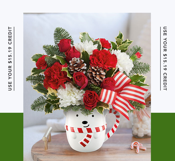Teleflora’s Send A Hug Cozy Cub Wish Bouquet