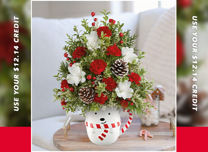 Teleflora’s Send A Hug Snowy Lane Tree