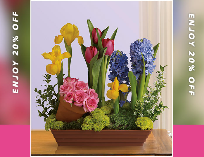 Spring Favorites