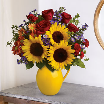 HERE COME<br>THE SUNFLOWERS