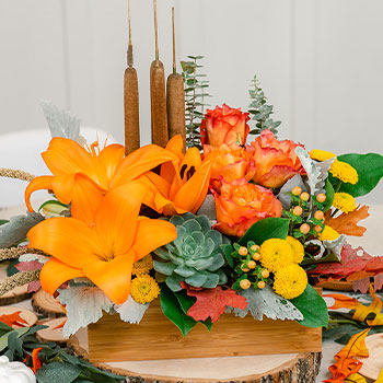 SET THE TABLE BEAUTIFULLY