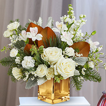 DISCOVER NEW<br>HOLIDAY STARS