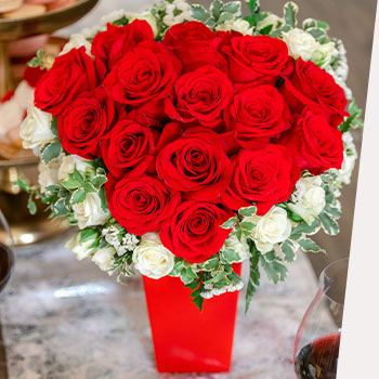 DISCOVER OUR MOST<br>BELOVED