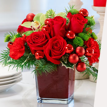 ROMANCE<br>THE HOLIDAYS