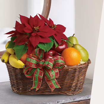 SHOP HOLIDAY<br>GIFT BASKETS