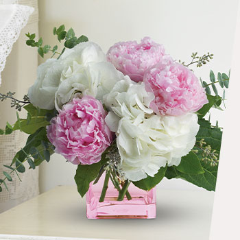 CELEBRATE PEONY SEASON