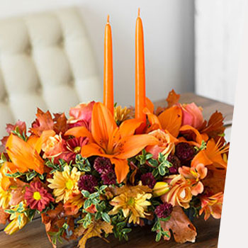 READY. SET.<br>THANKSGIVING.