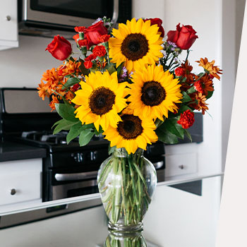 HERE COME THE<br>SUNFLOWERS