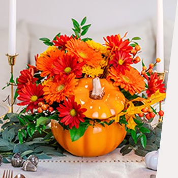 Welcome Fall