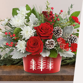 ENJOY SAME-DAY<br>DELIVERY